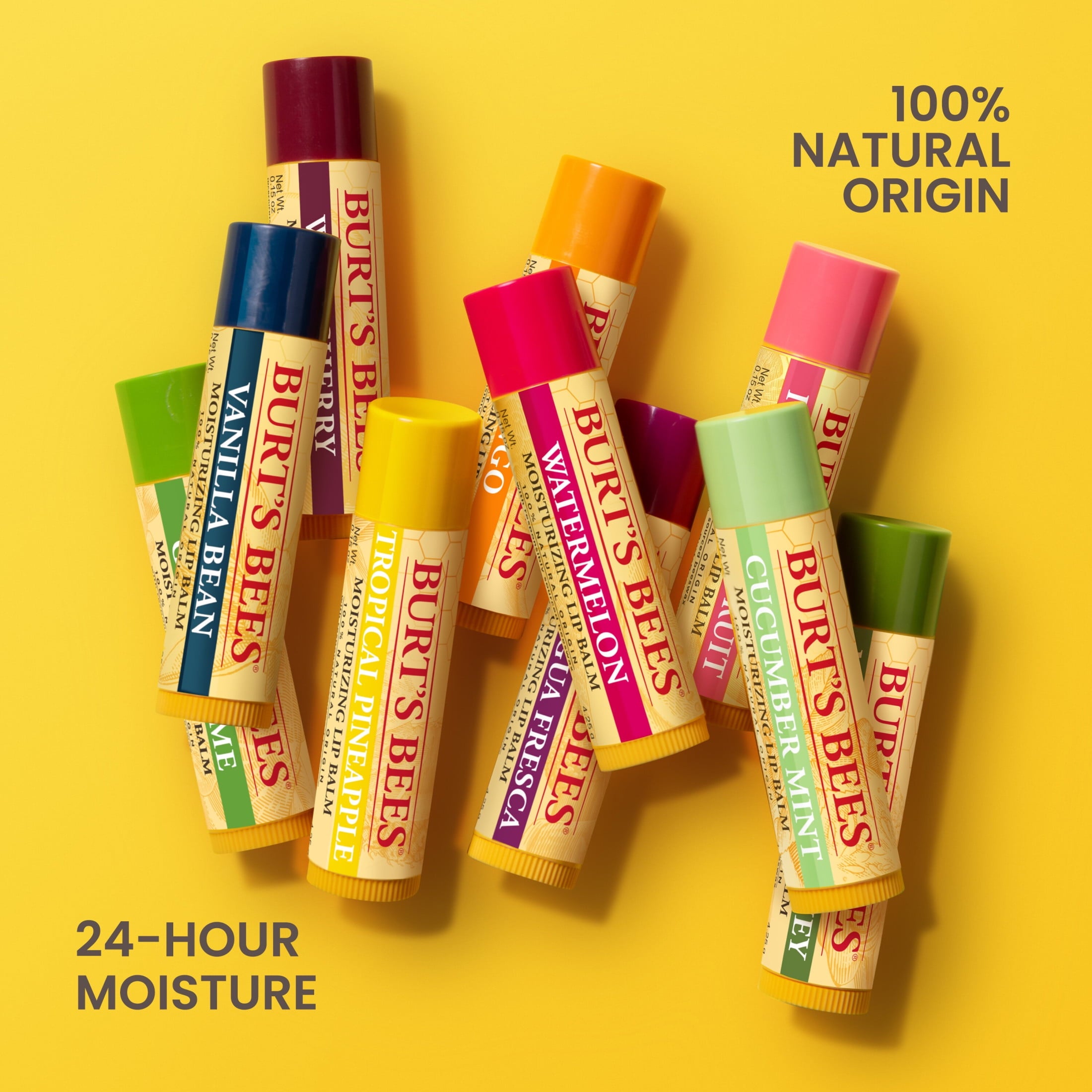 Burt's Bees Lip Balm Pack, Freshly Picked 4 Pack, 0.15 Ounce Tubes